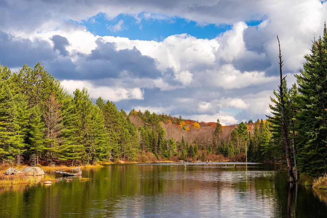 Day Trips from Toronto: The Best Escapes by Car and Transit