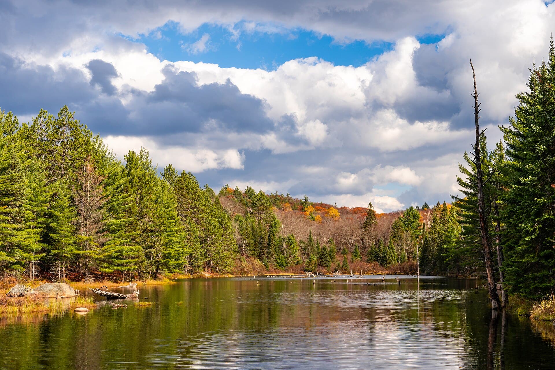 Day Trips from Toronto: The Best Escapes by Car and Transit